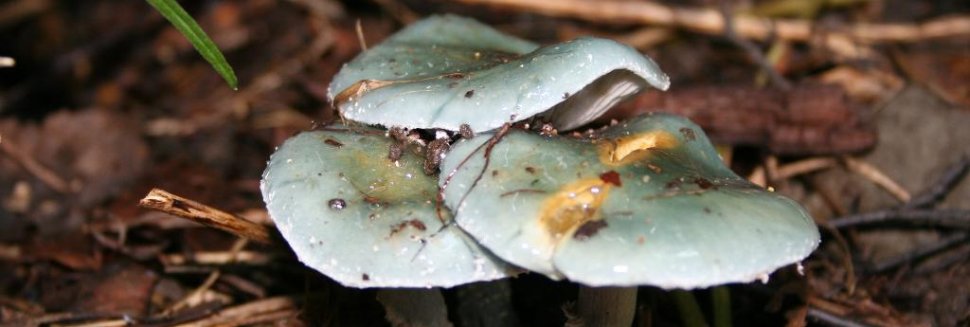 Outsourcing Partner Feedback